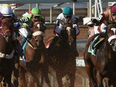 horse race saudi cup