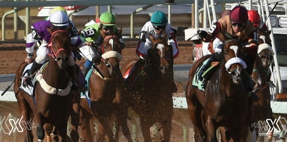horse race saudi cup
