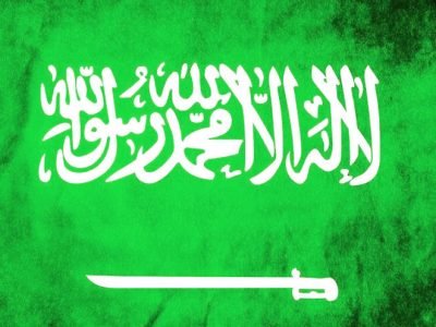 Coronavirus in Saudi Arabia from Day 1 Daily Cases Recoveries and Mortalities