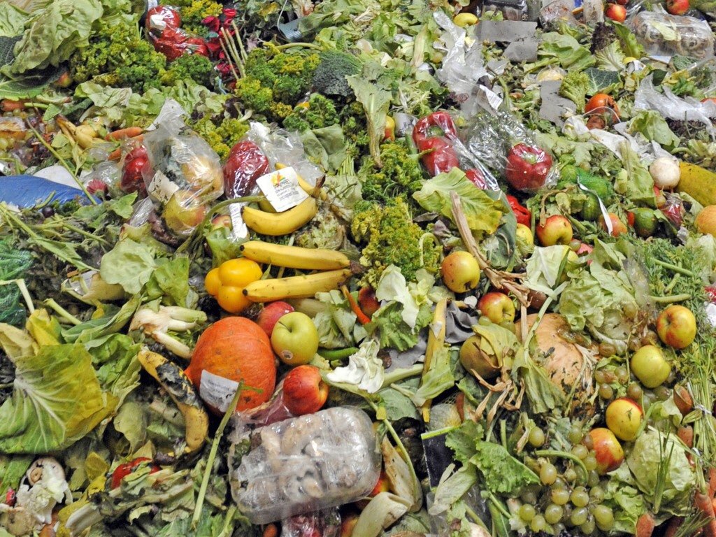 40-billion-riyal-annual-food-waste-and-causes-mentioned-in-the-study