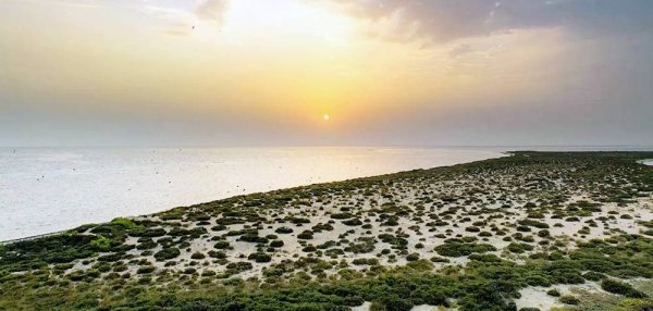 Umm Al Oud 2