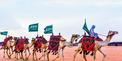 Camels