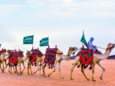 Camels