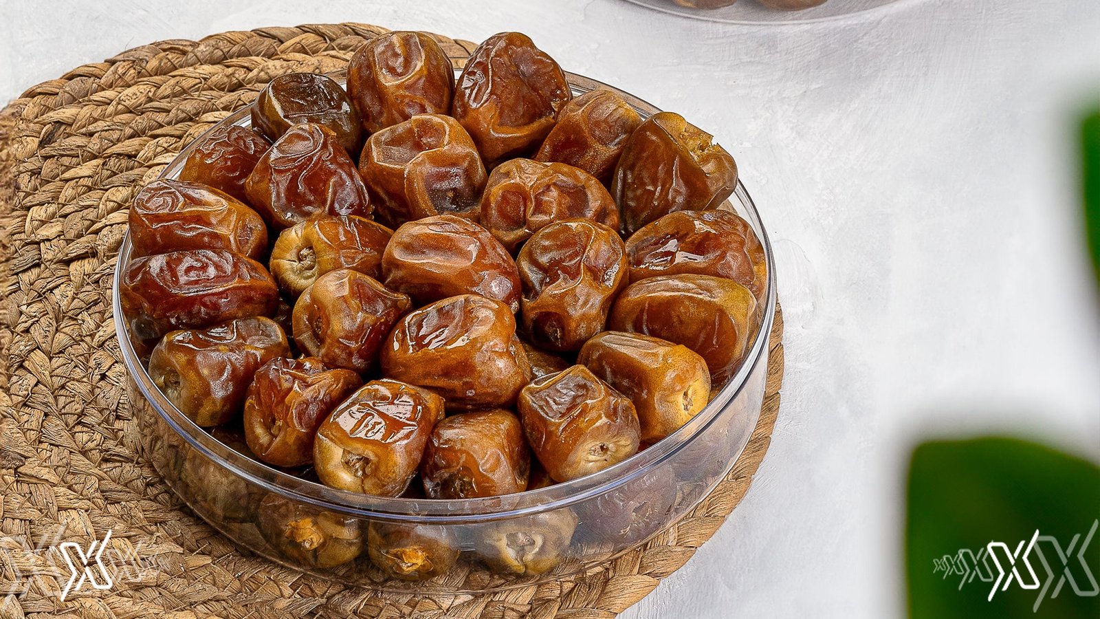 10 Best Types of Dates you must try in Saudi Arabia – 2025